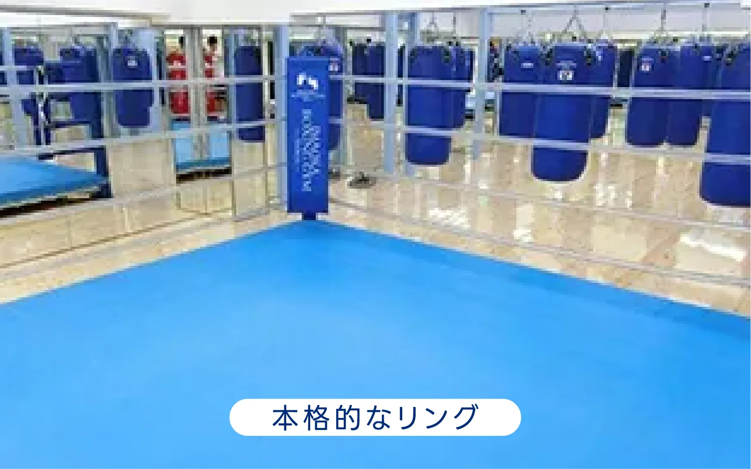 本格的なリング