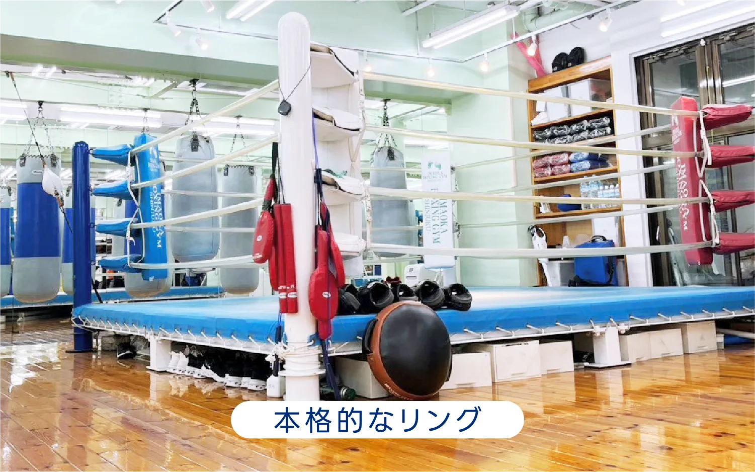 本格的なリング
