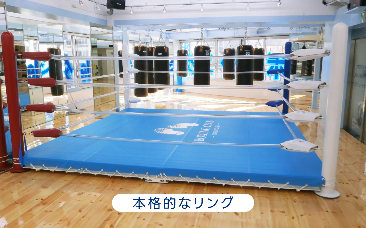 本格的なリング