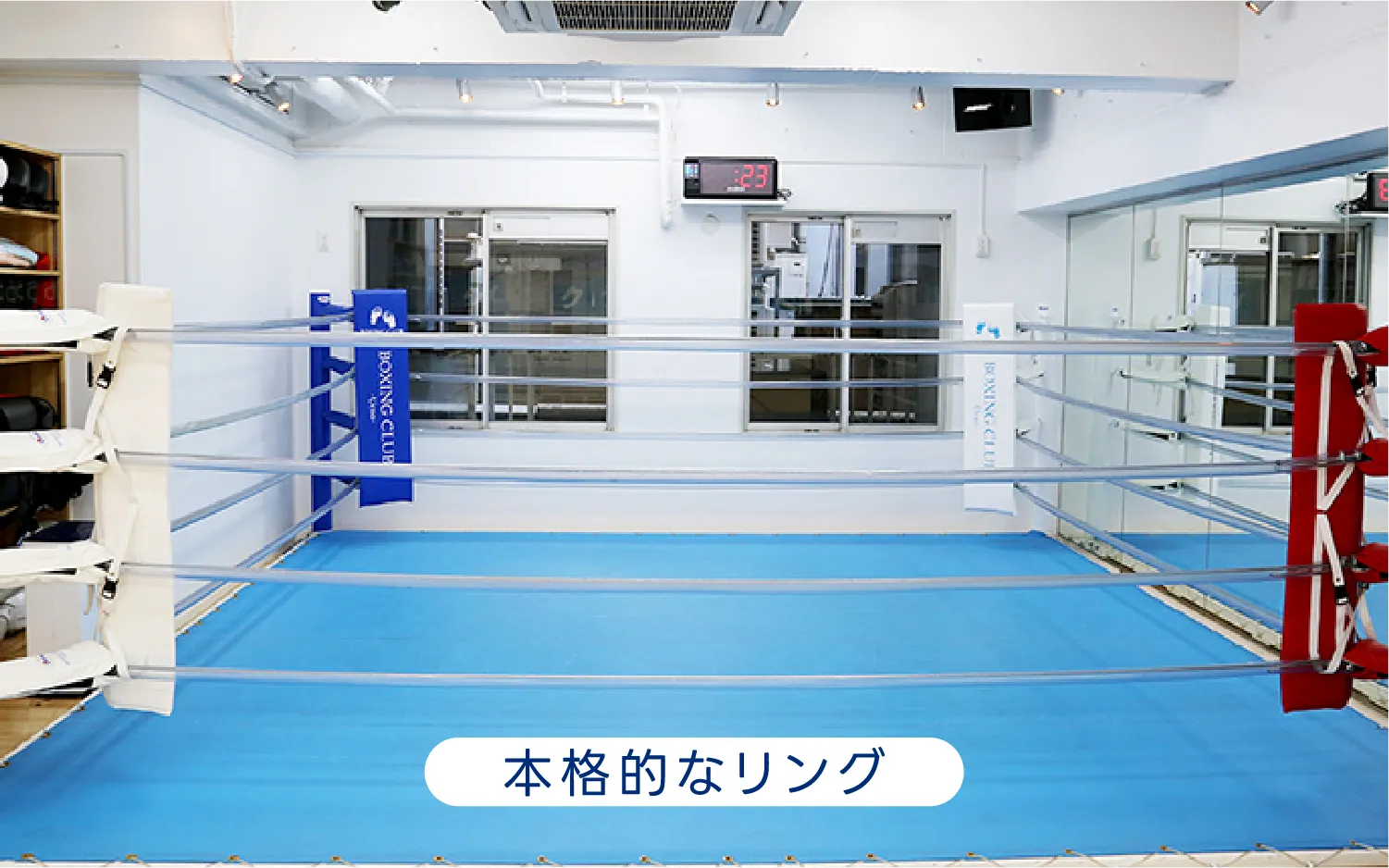 本格的なリング