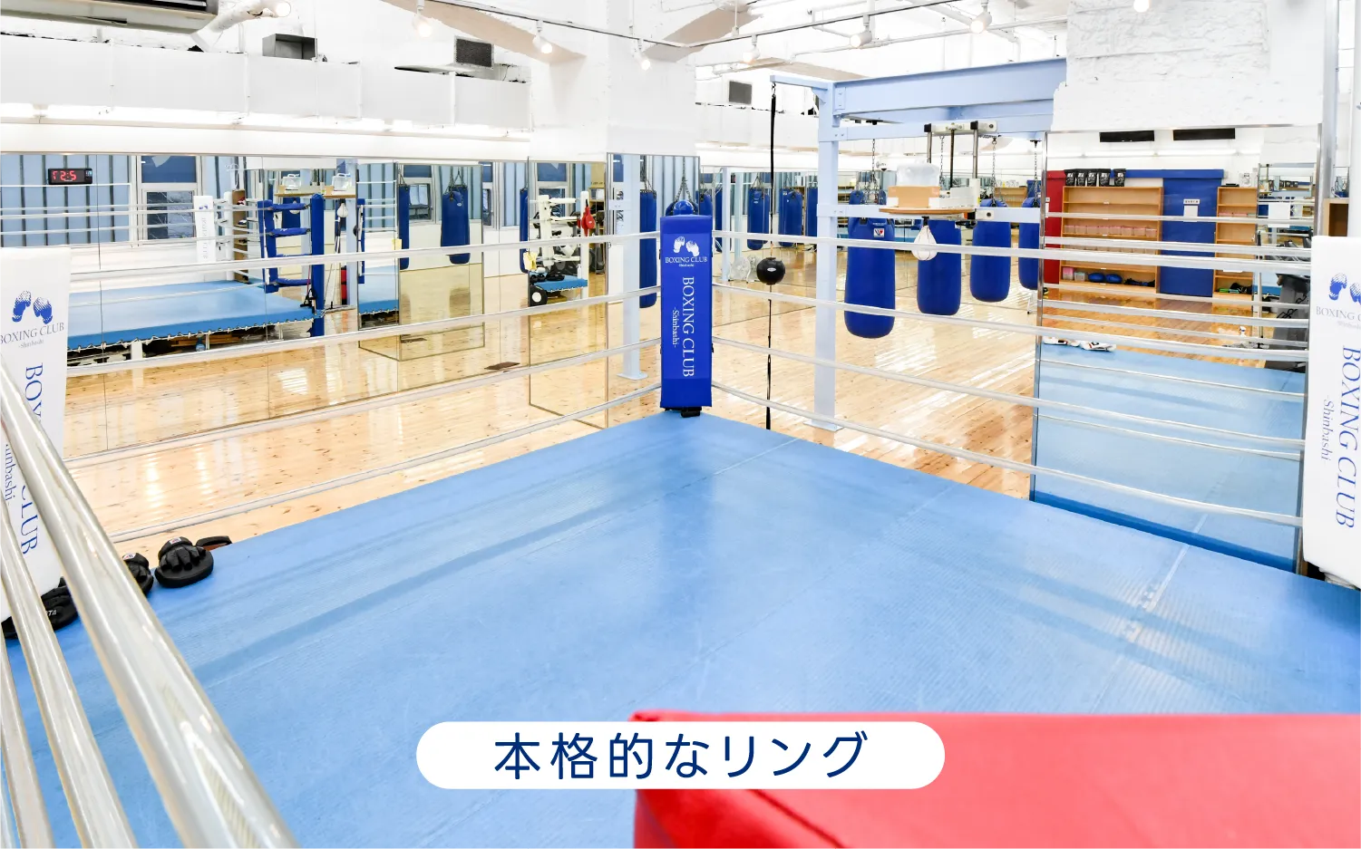 本格的なリング