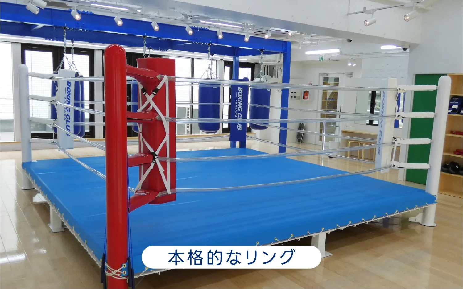 本格的なリング