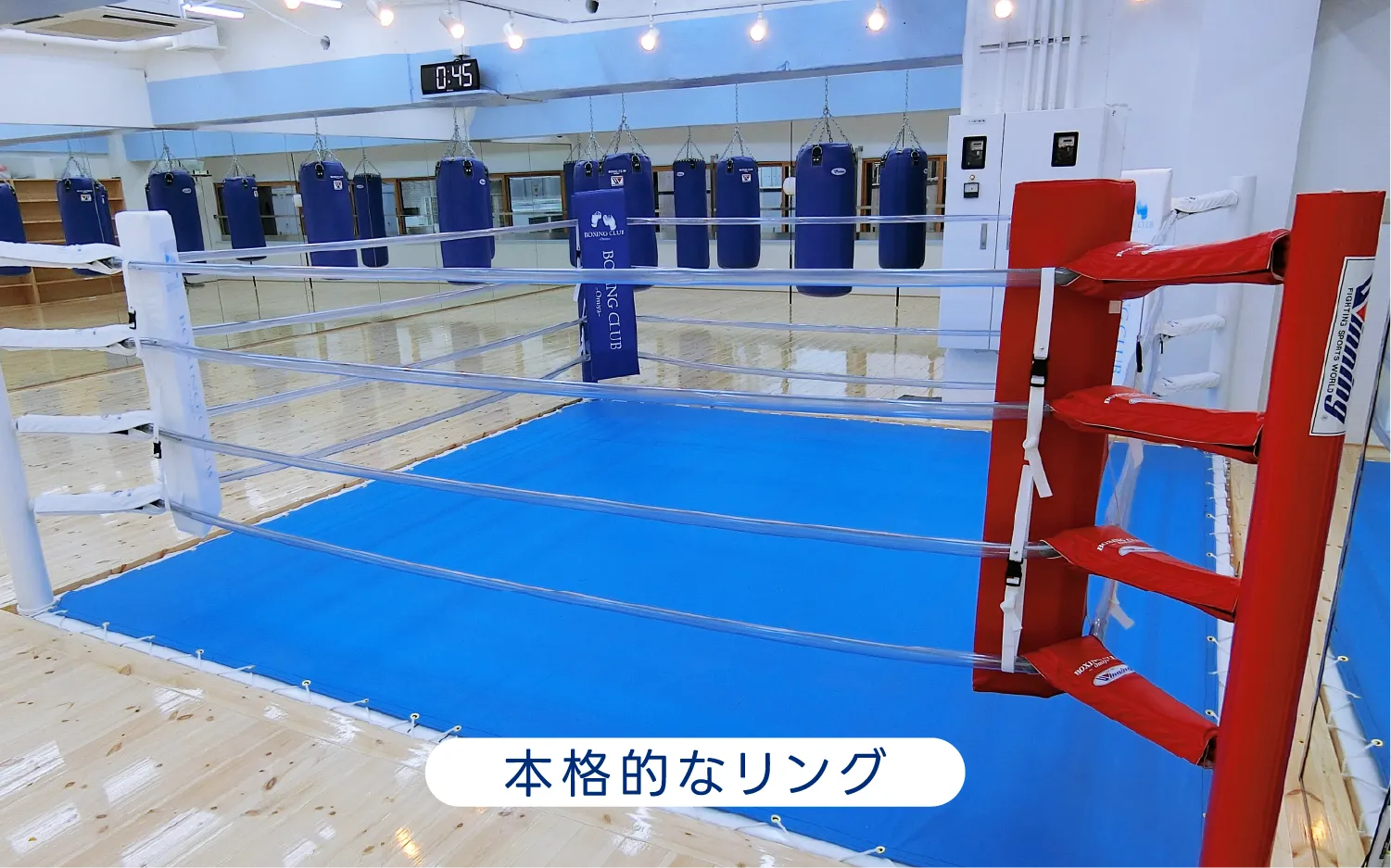本格的なリング