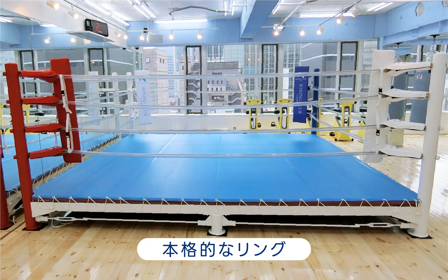 本格的なリング