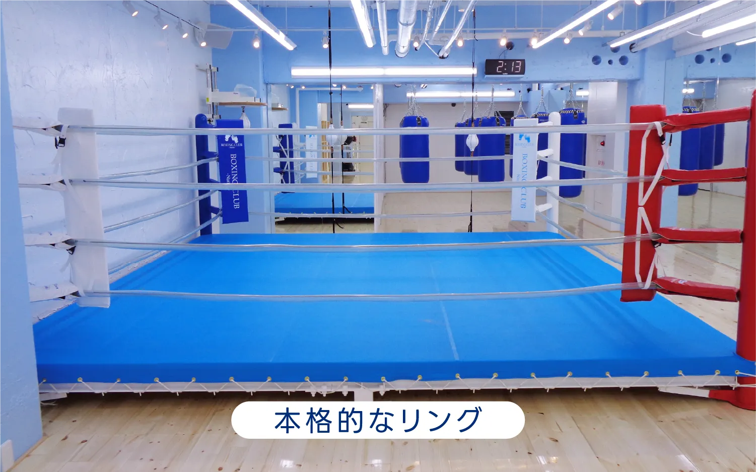 本格的なリング