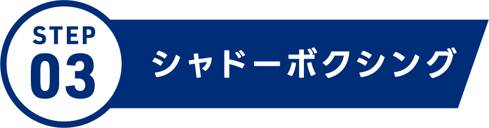 シャドーボクシング